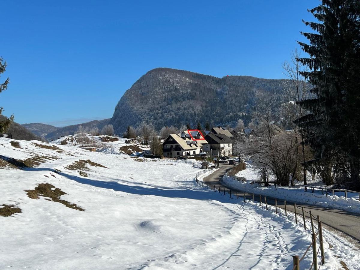 Gloria Holiday - Apartment Bohinj Εξωτερικό φωτογραφία